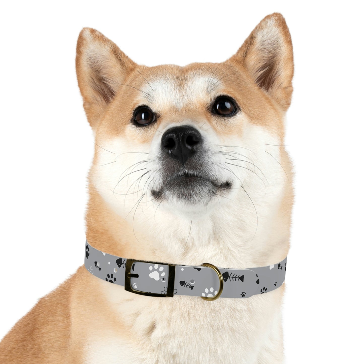 Dog Collar